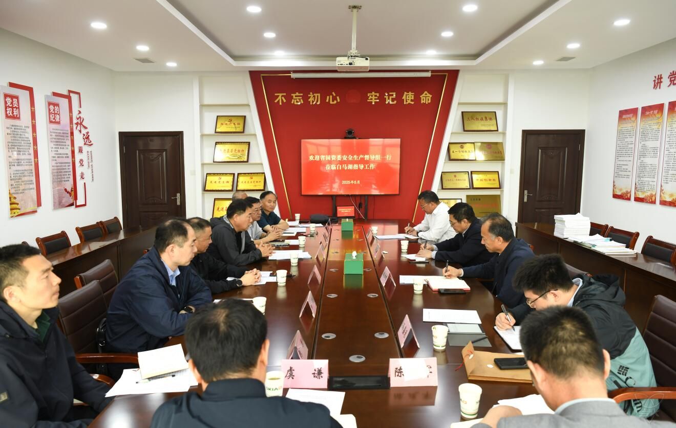 省國資委第二督導(dǎo)組來白馬湖開展安全生產(chǎn)常態(tài)化督查