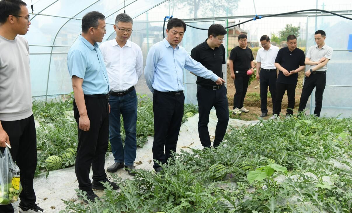 三河農(nóng)場來白馬湖調(diào)研考察